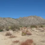 Asbestos Mountain