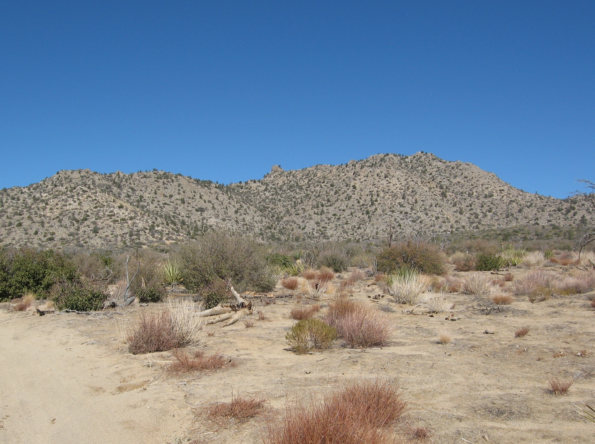 Asbestos Mountain