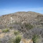 Sheep Mountain