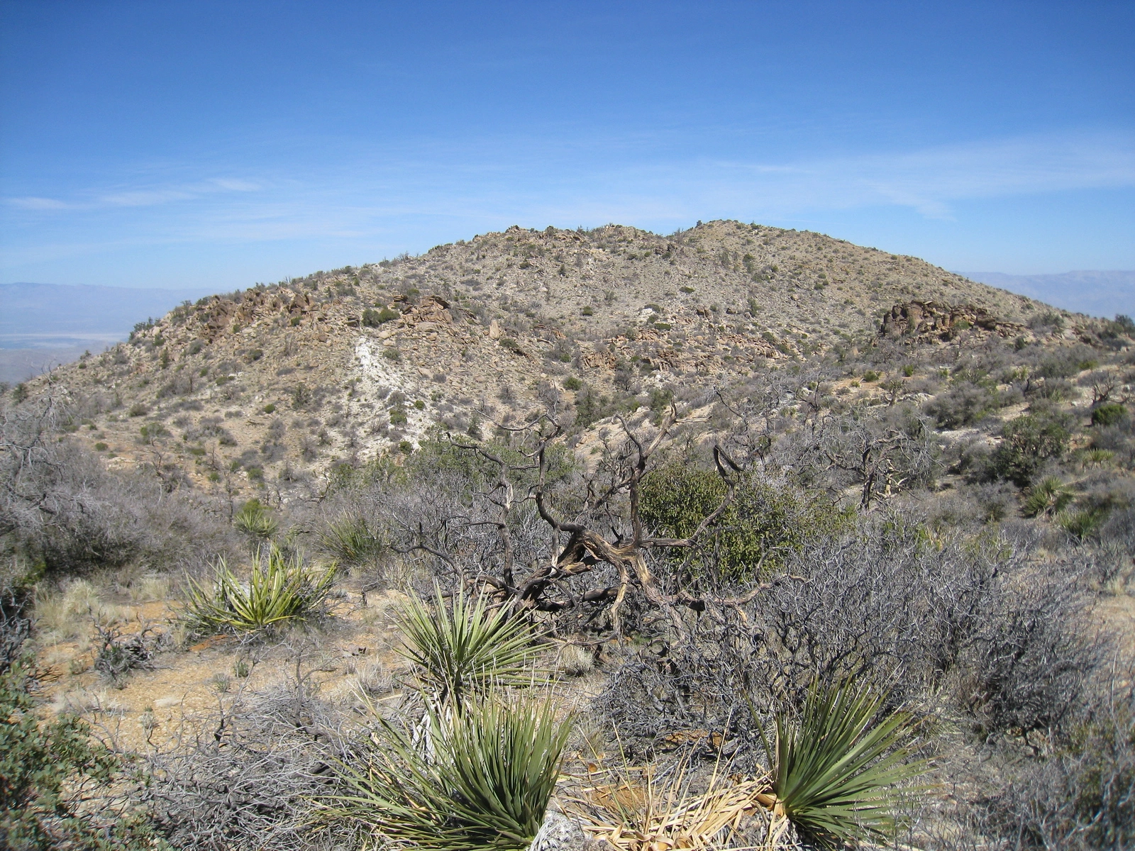 Sheep Mountain