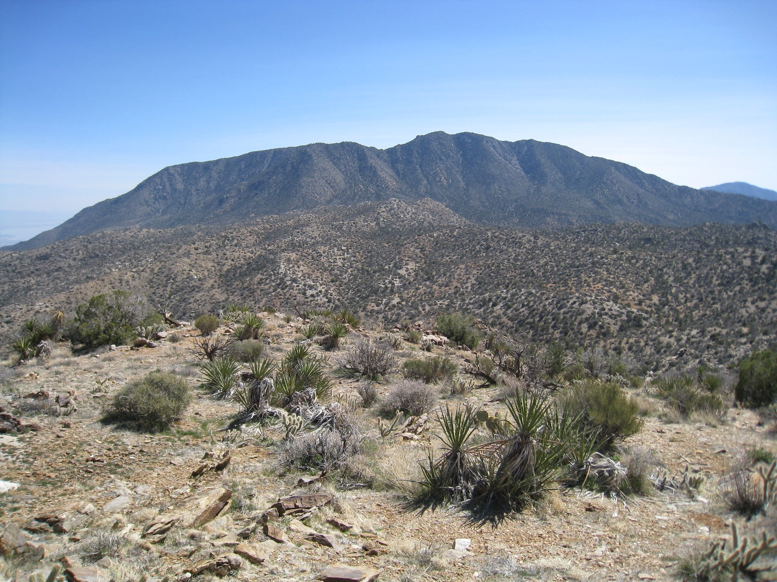 Martinez, Mountain taken from Sheep Mountain