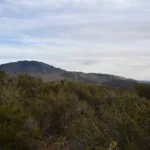 Toro, taken from PCT