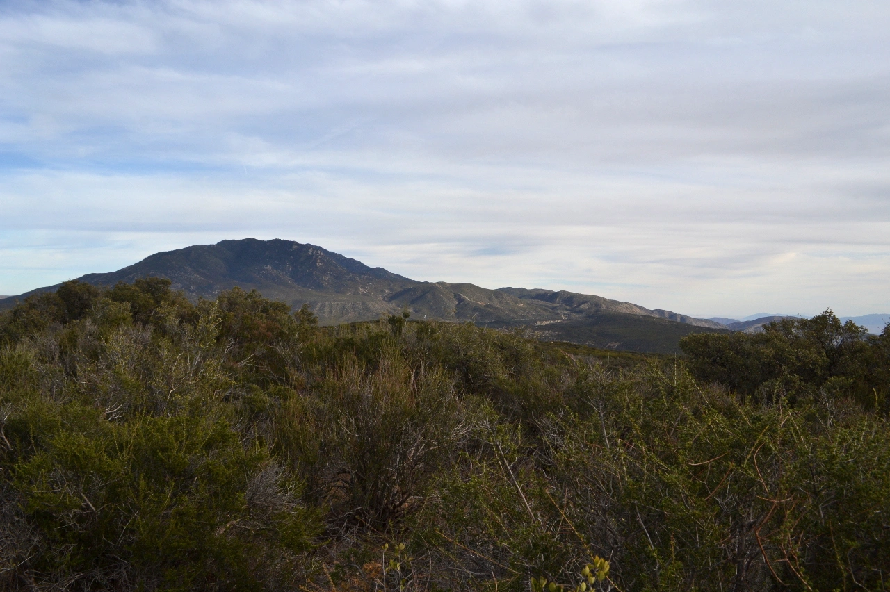 Toro, taken from PCT