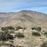 "Big Rabbit" From Villager Peak
