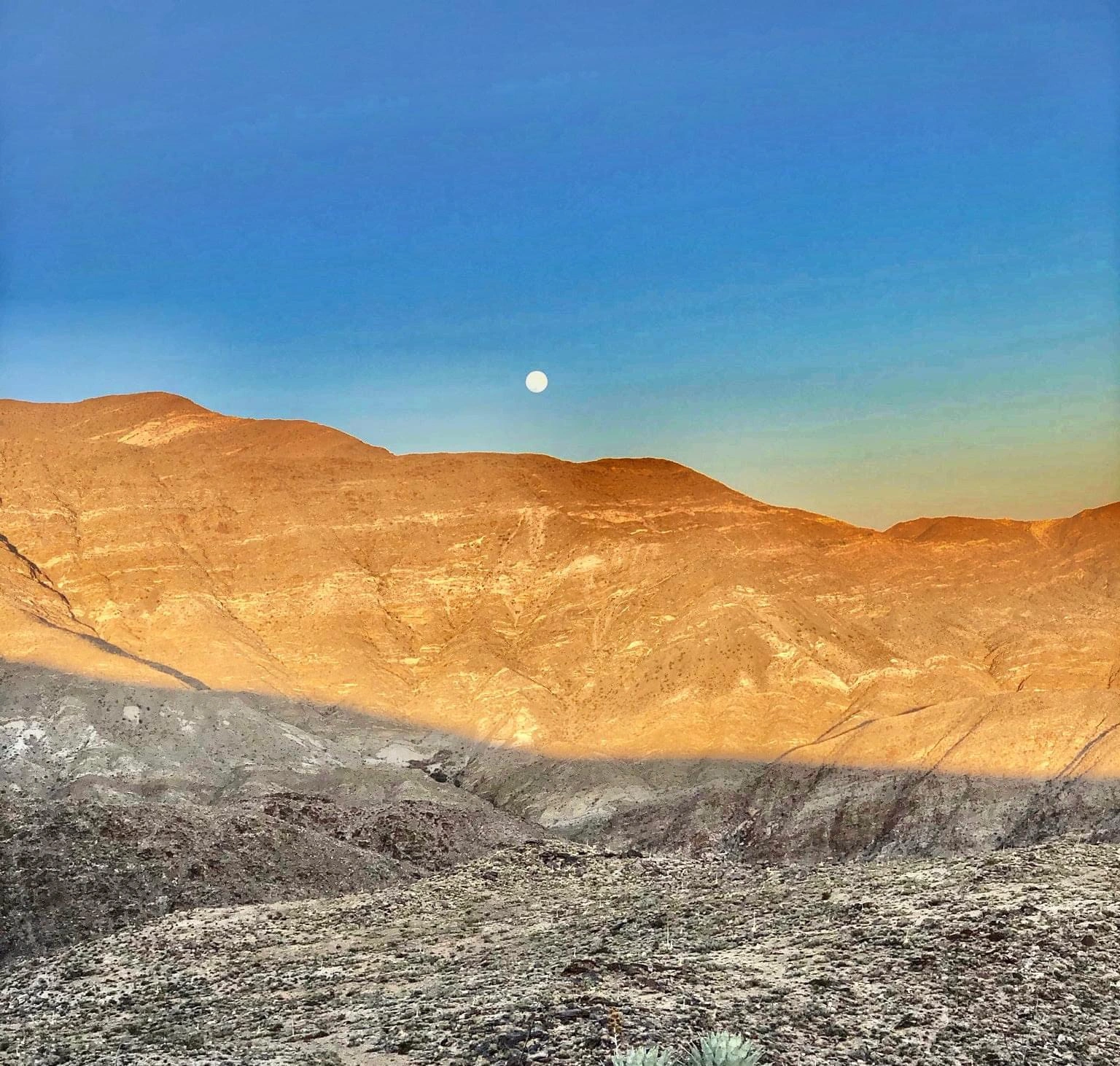 Moonrise at Sunset, taken from Villager
