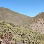 Combs Peak
