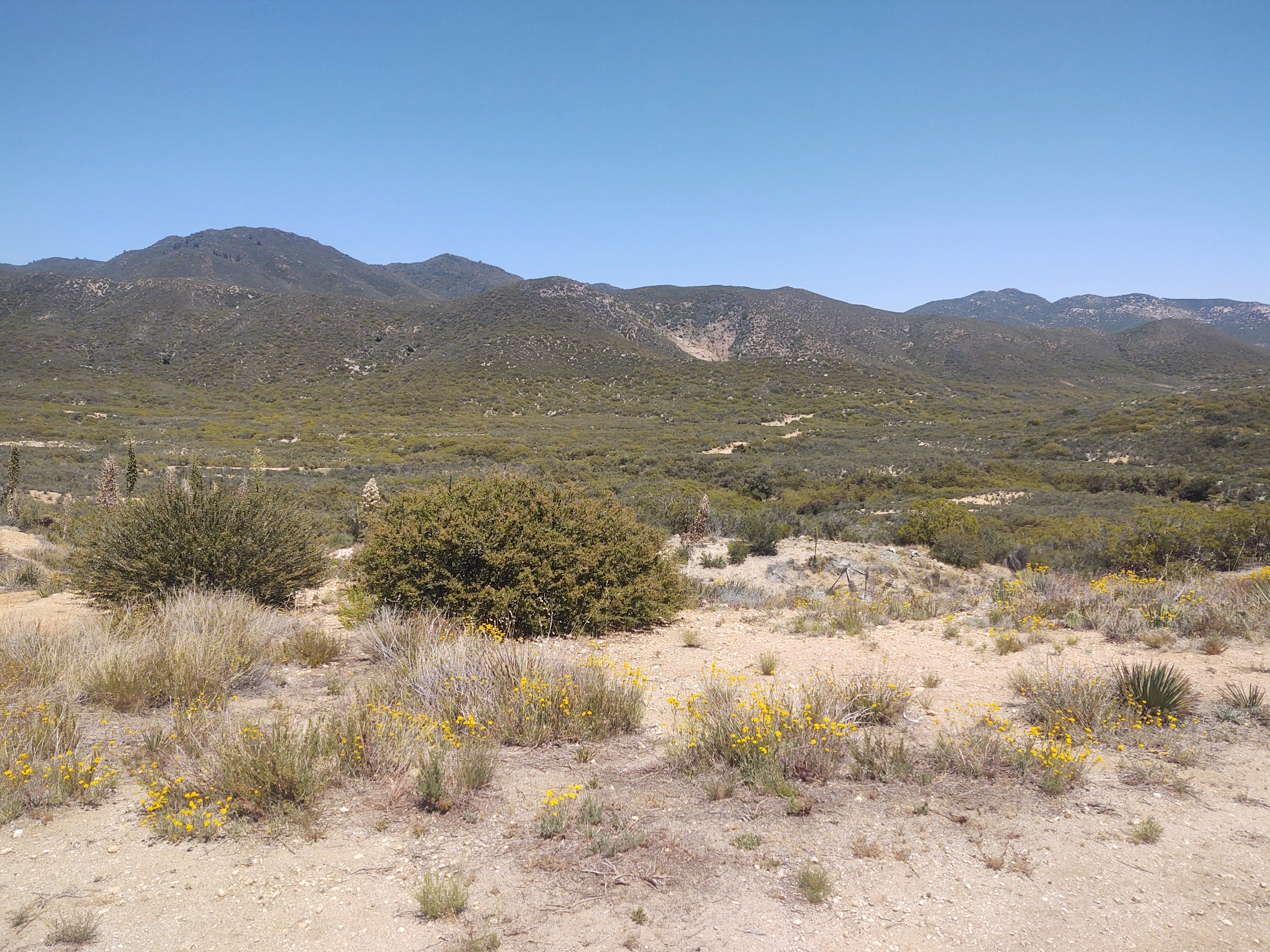Combs Peak
