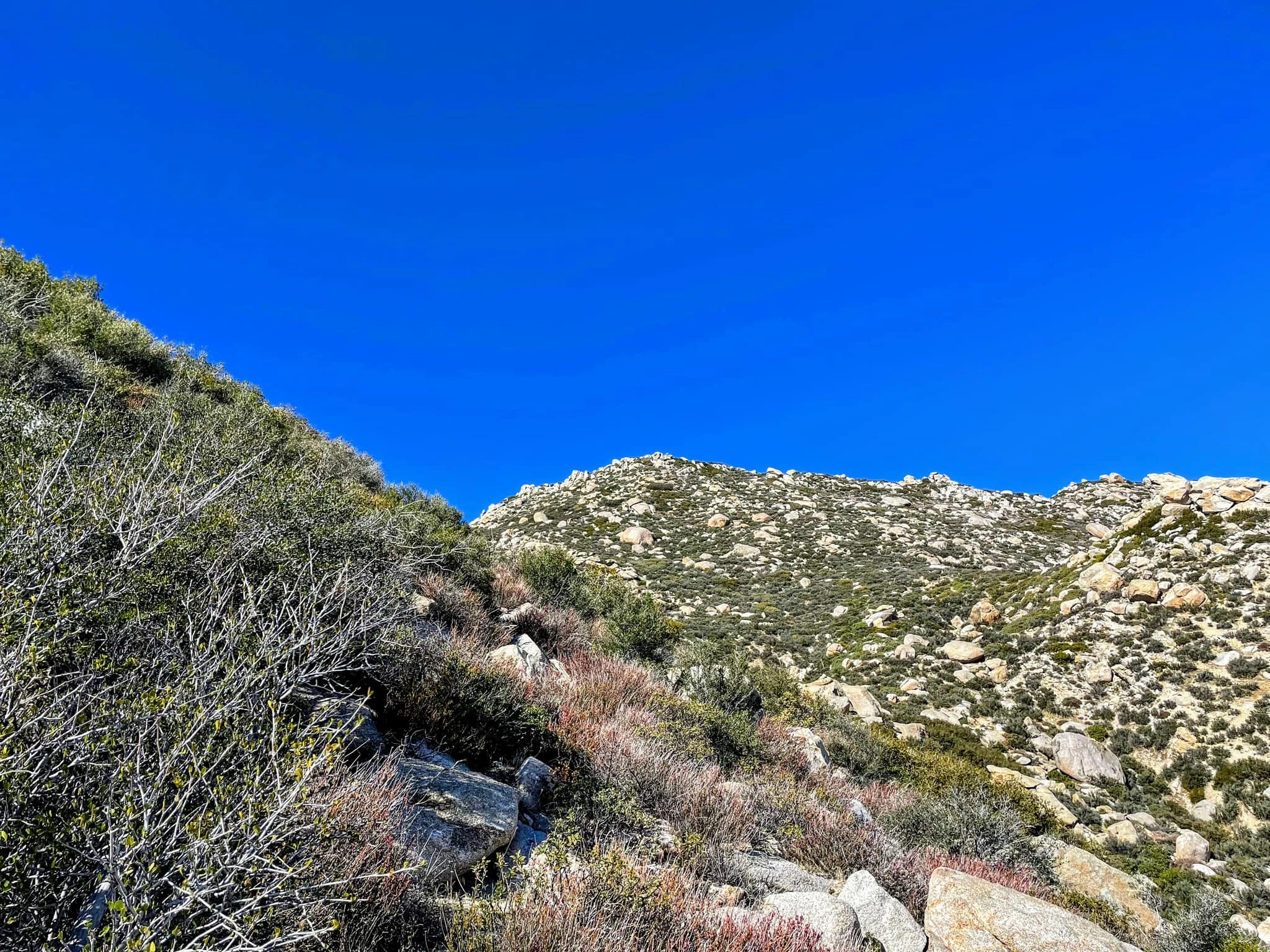 San Ysidro Mountain