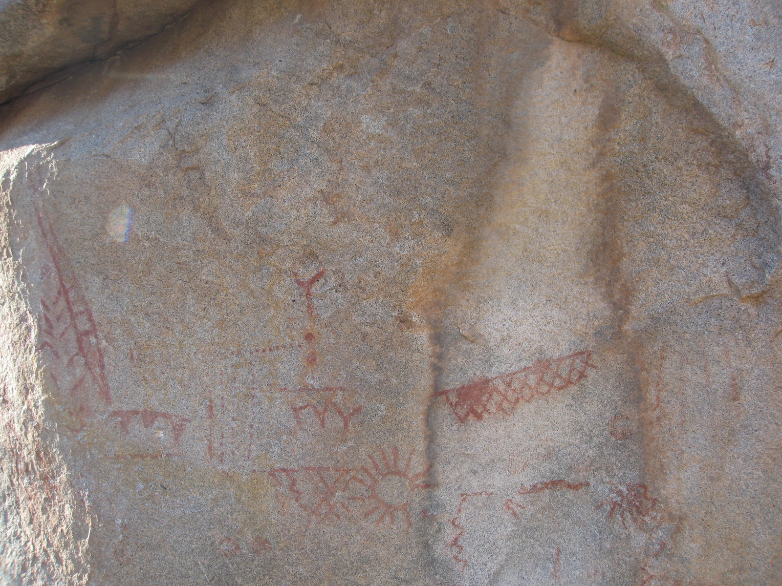 Whale Pictographs