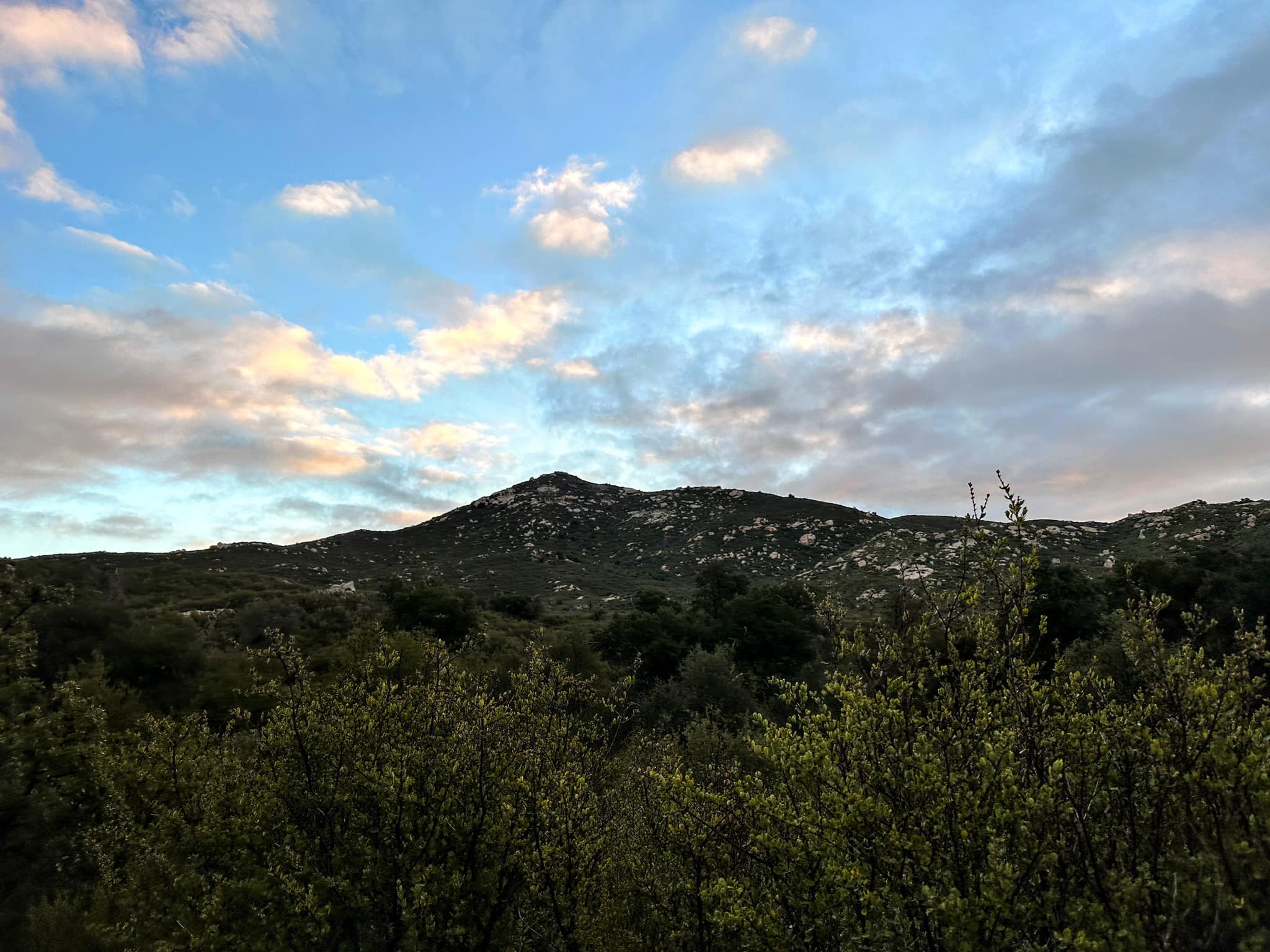 Oakzanita Peak