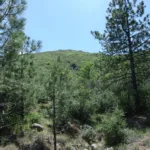 Sheephead Mountain