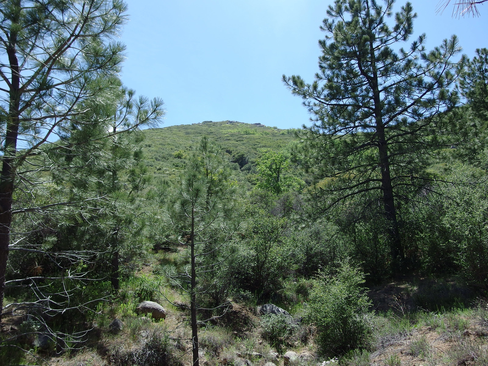 Sheephead Mountain