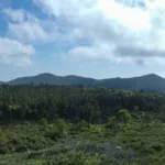 Sheephead Mountain