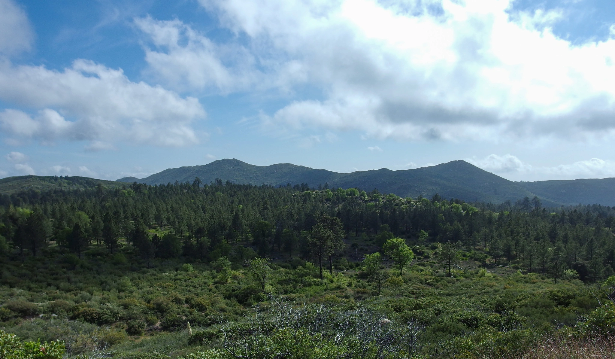 Sheephead Mountain
