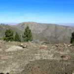 Circle Mountain1