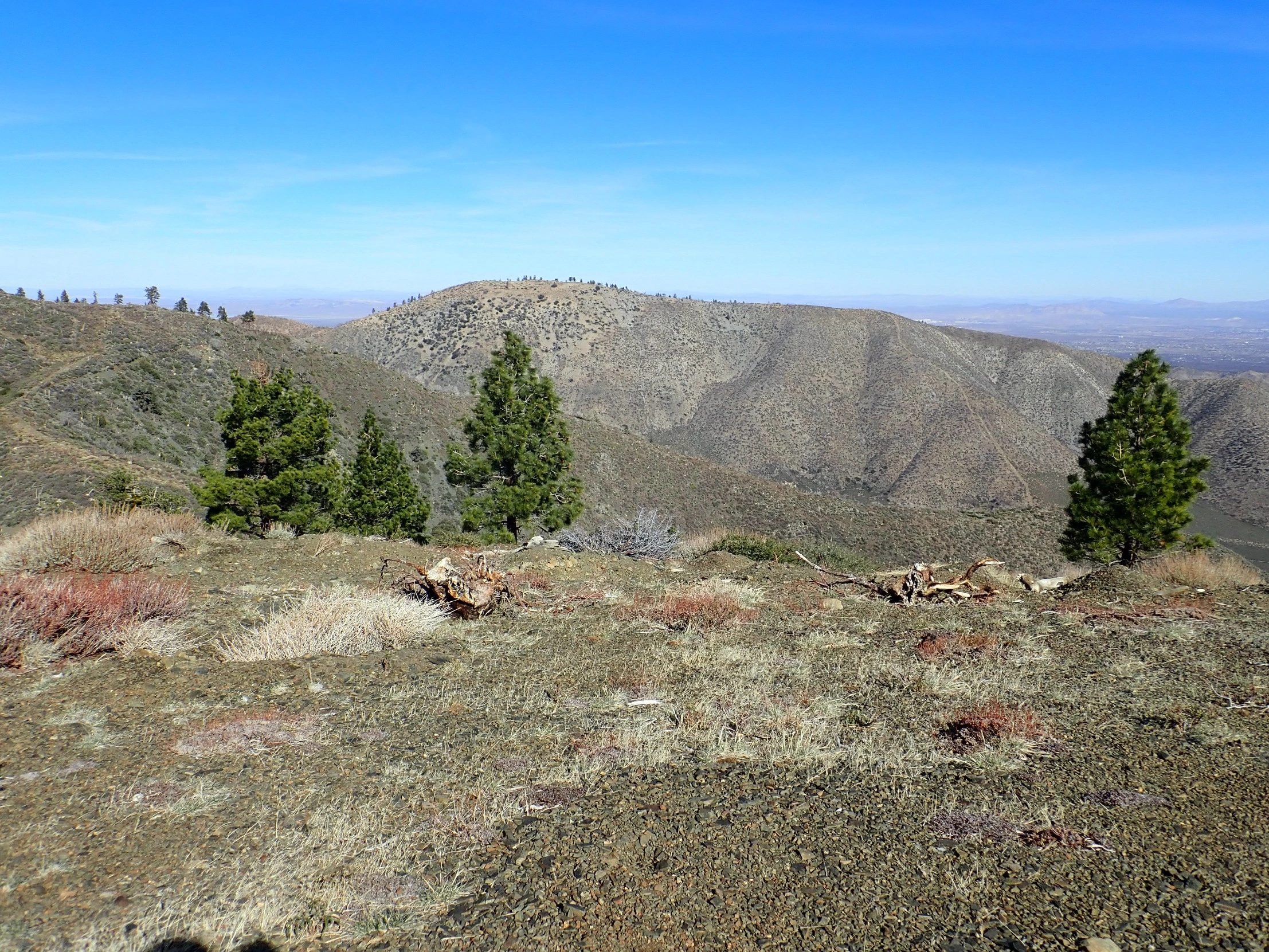 Circle Mountain1