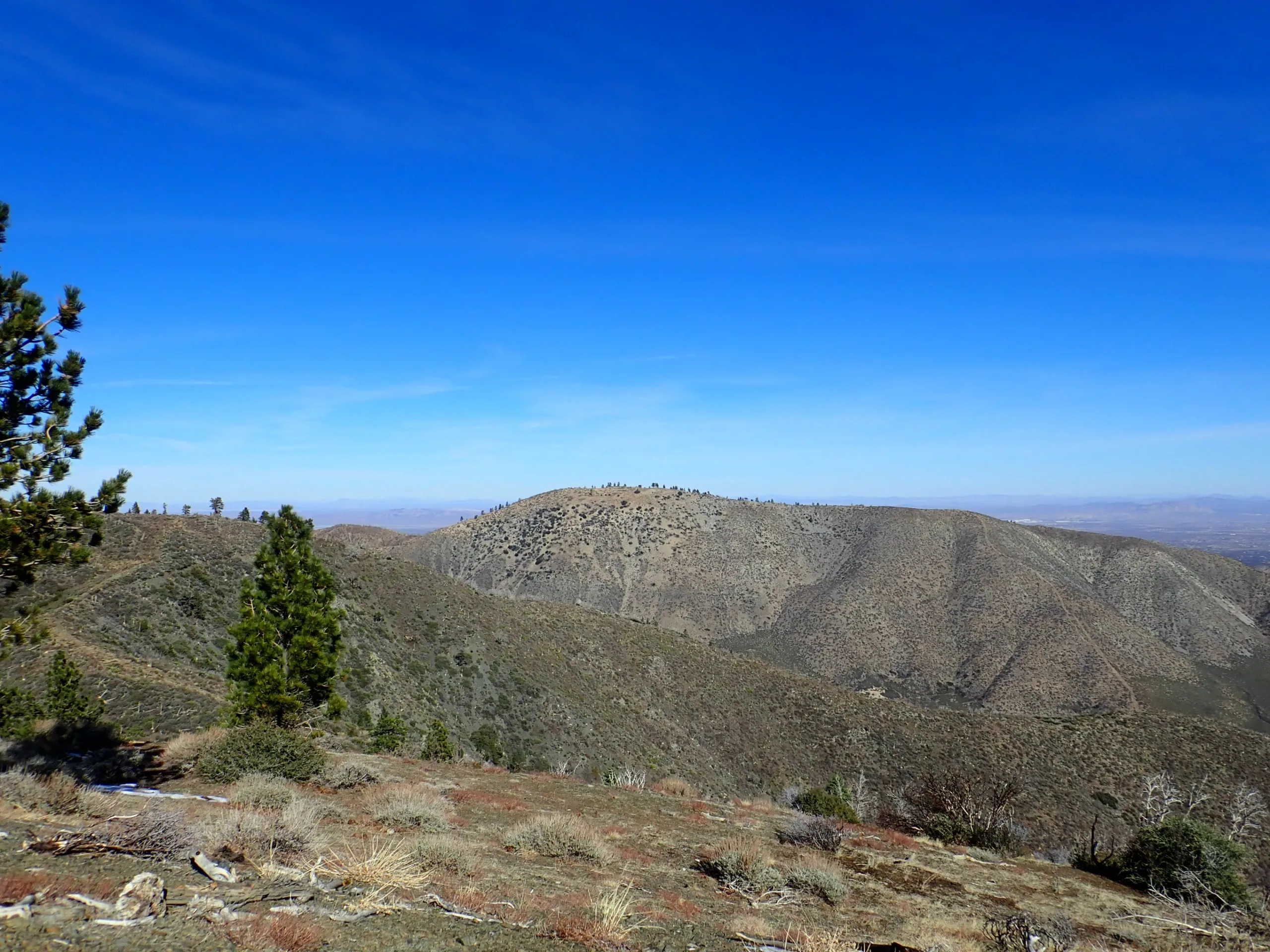 Circle Mountain