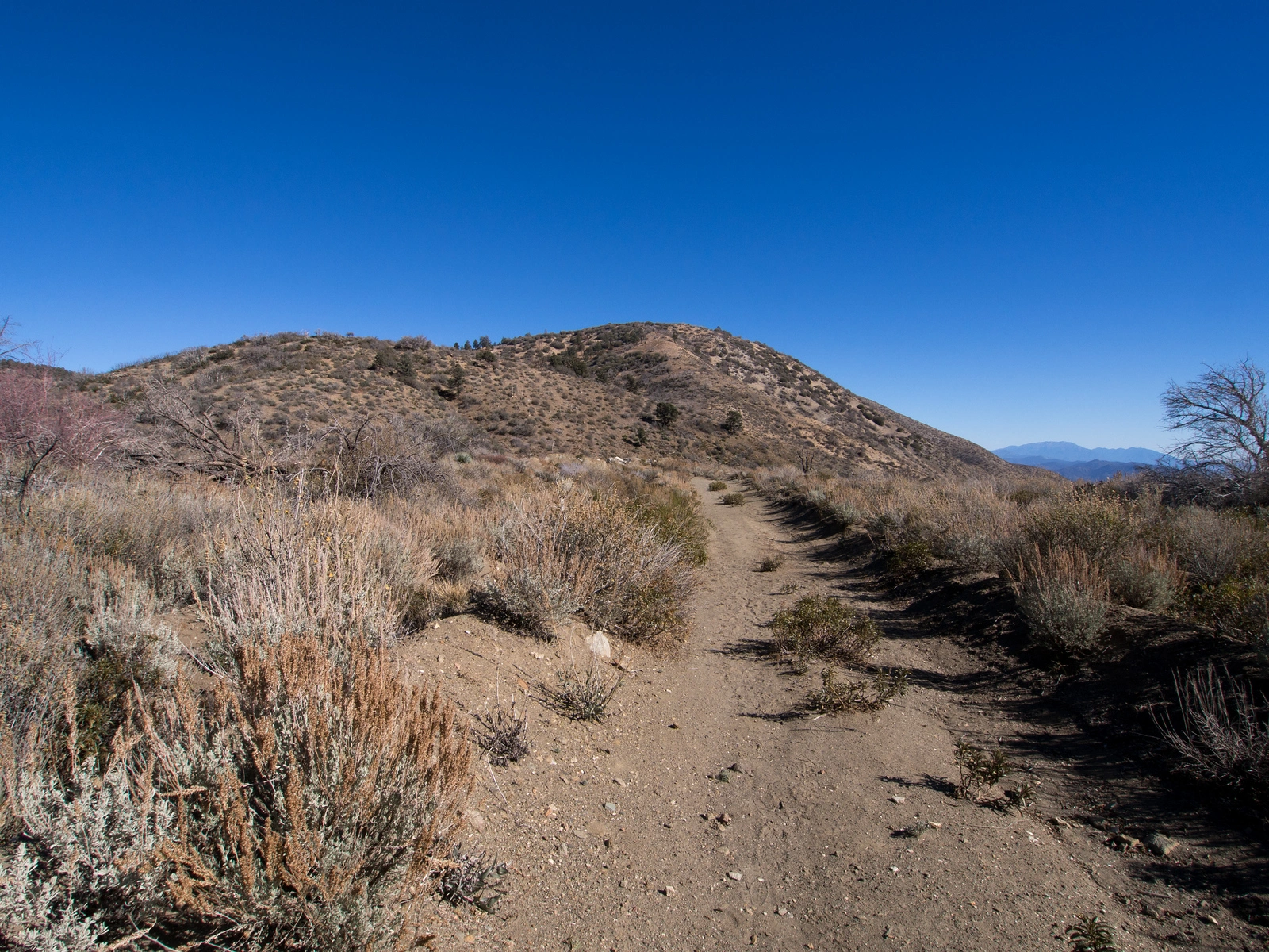 Circle Mountain