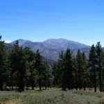 Pine Mountain #1 and Baldy