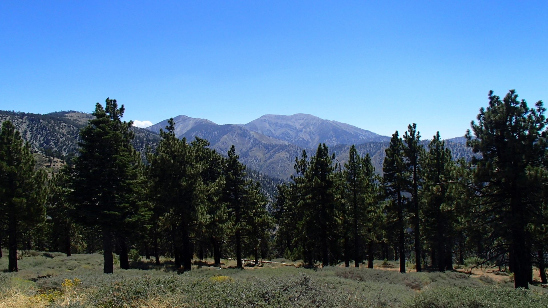 Pine Mountain #1 and Baldy