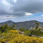 Pine Dawson, taken from Baldy