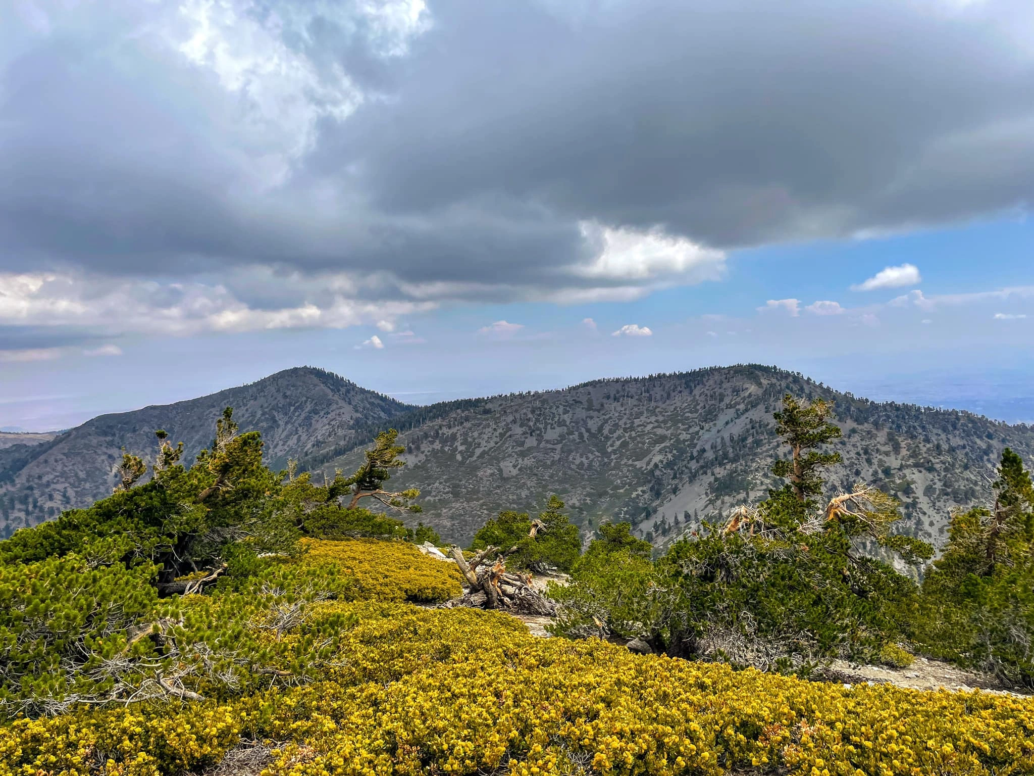 Pine Dawson, taken from Baldy
