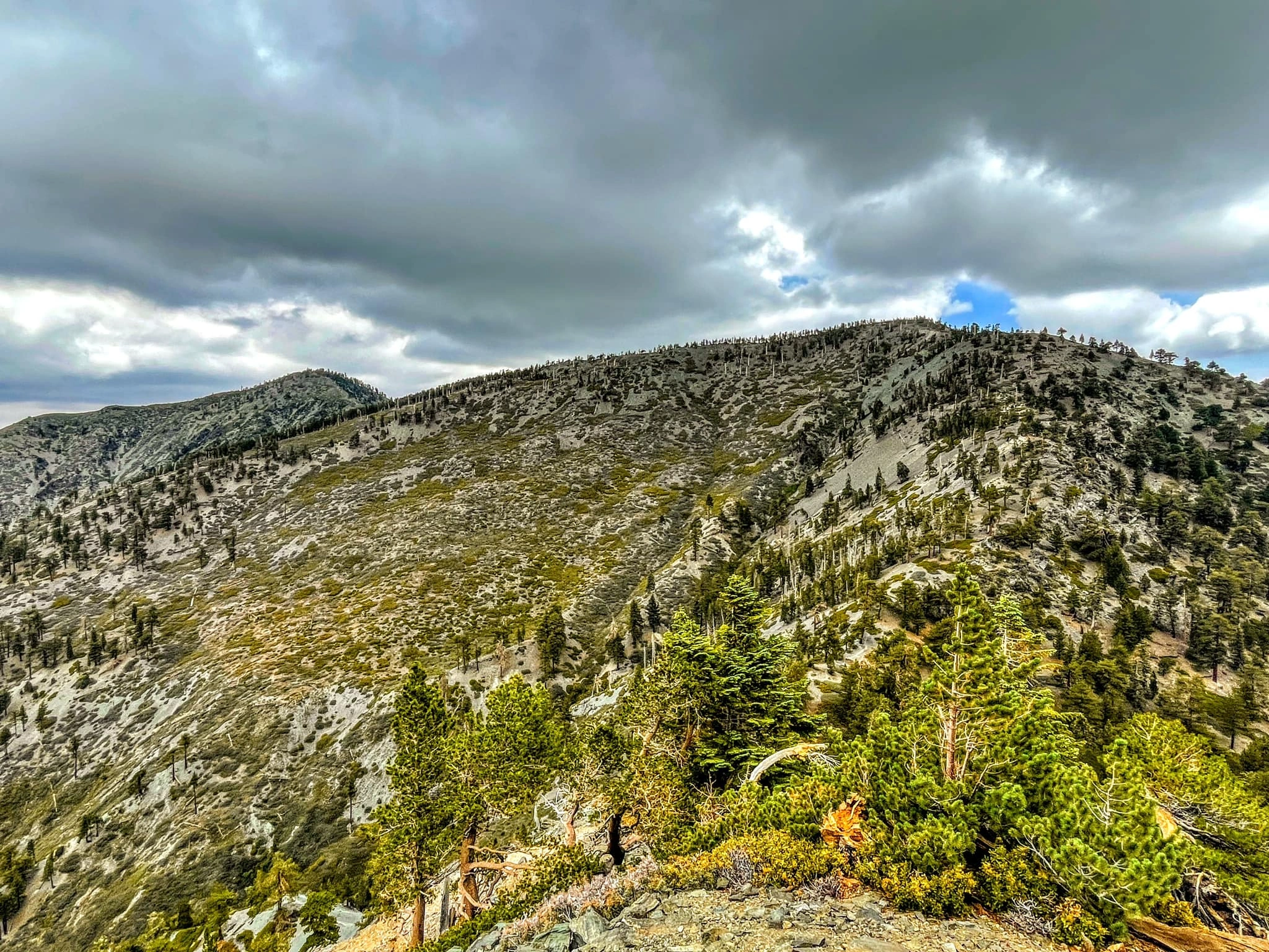 Dawson Peak, taken from Baldy