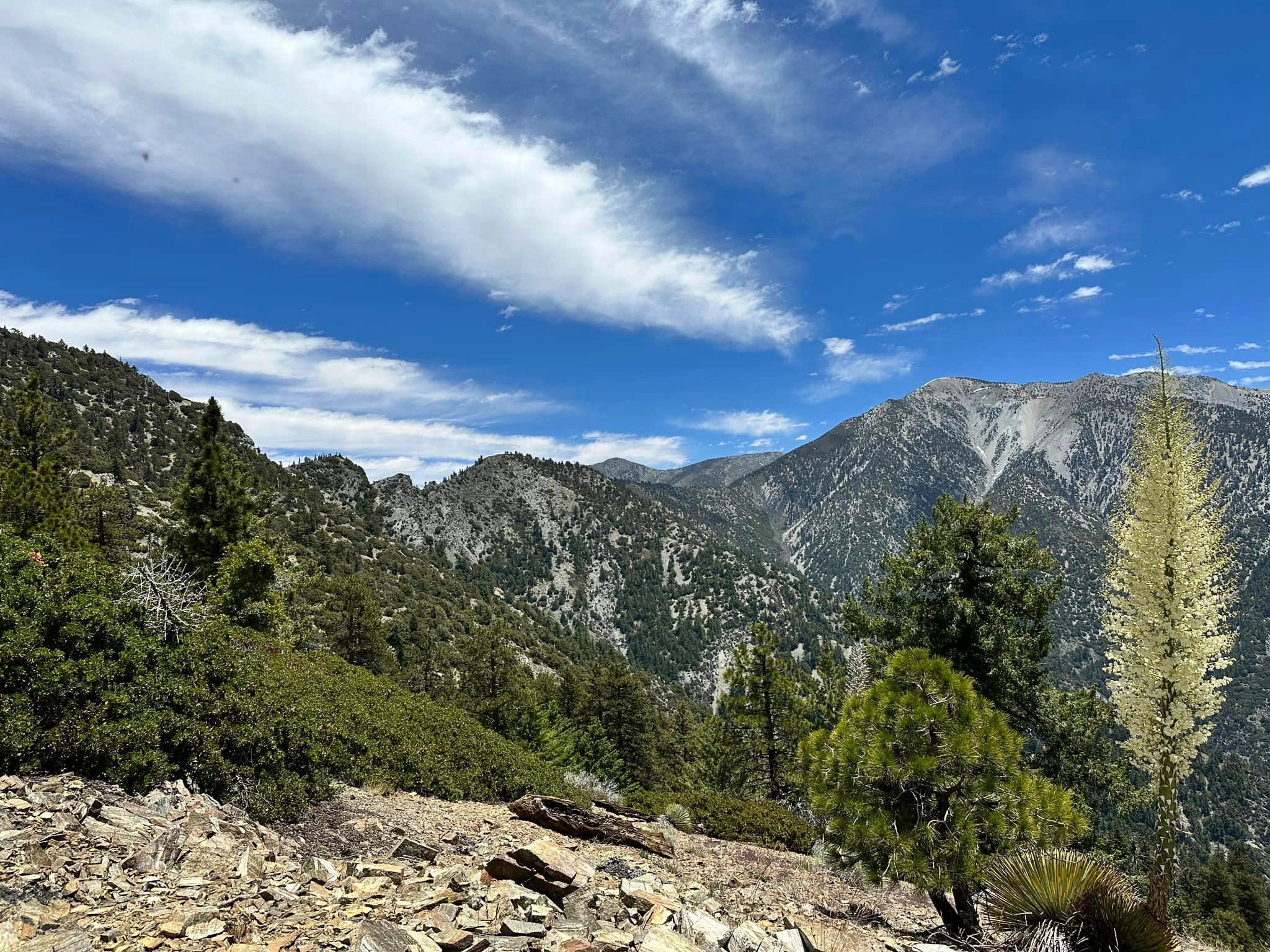 Iron Mountain Baldy Traverse