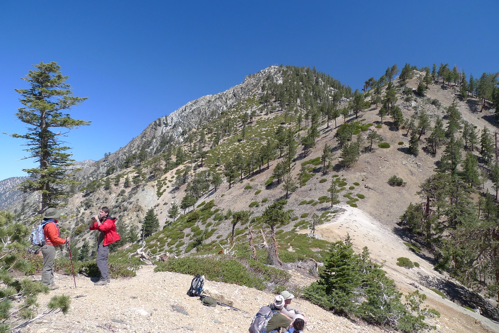 Timber Telegraph, taken from Icehouse Saddle