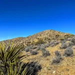 Lost Horse Mountain