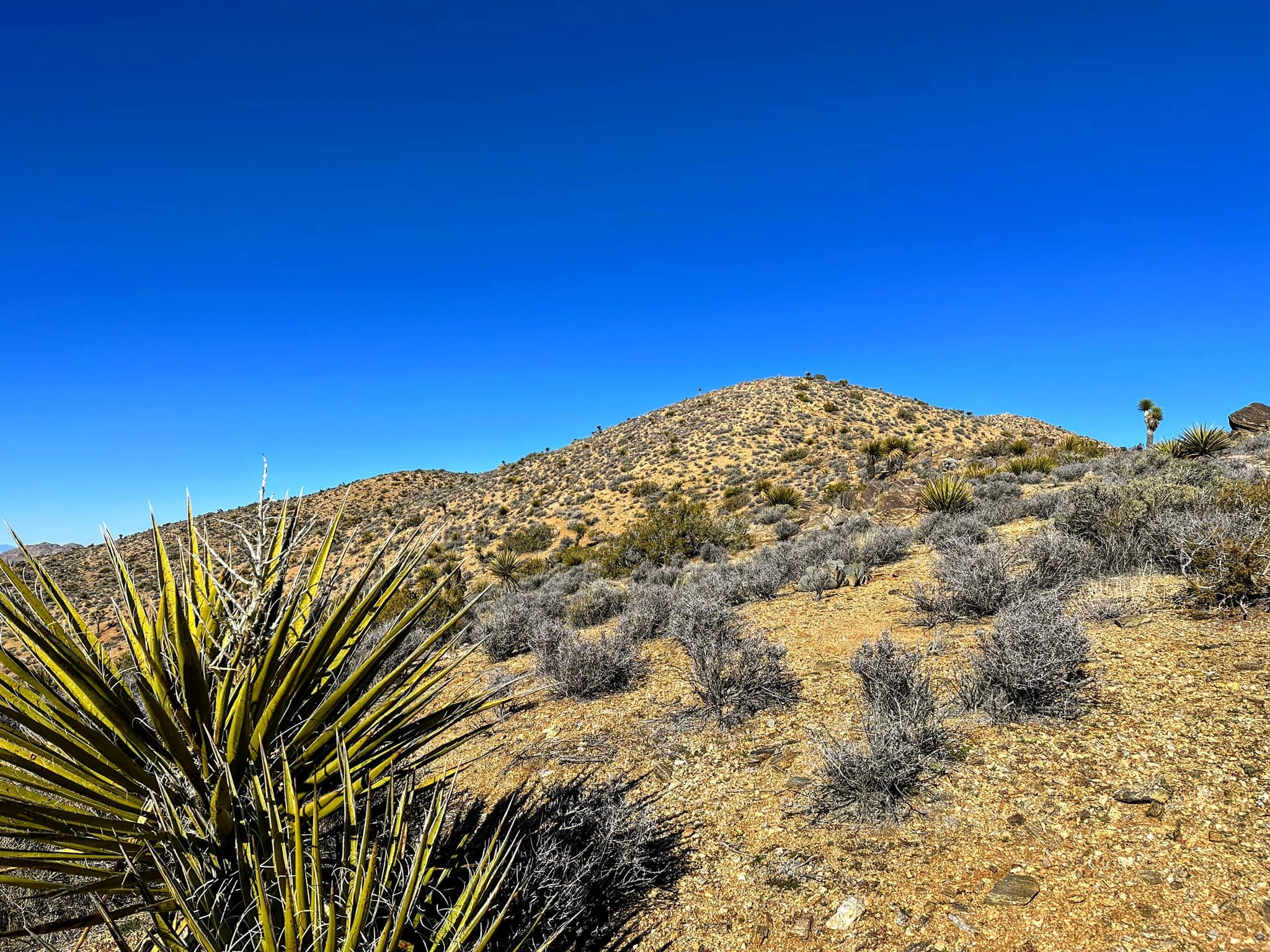 Lost Horse Mountain