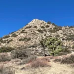 Warren Point